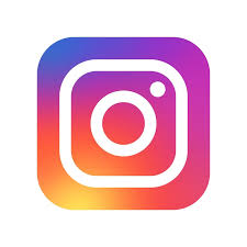 INS